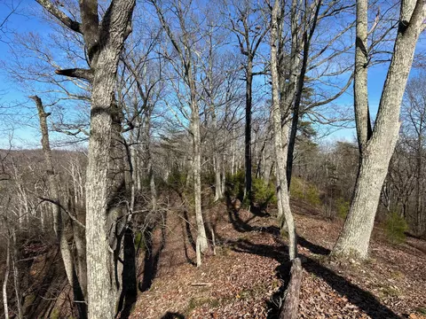 910 Float Ln, Waverly, TN 37185 photo 41