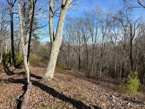 910 Float Ln, Waverly, TN 37185 photo 40