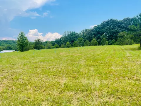 7149 Dice Lampley Rd, Fairview, TN 37062 photo 3