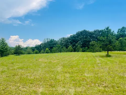 7149 Dice Lampley Rd, Fairview, TN 37062 photo 2