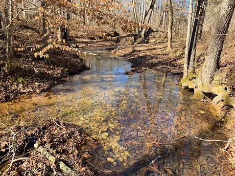 0 Big Opossum Creek Rd, Waynesboro, TN 38485