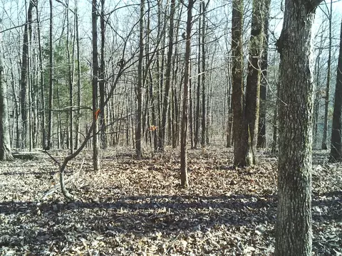 0 Eaglet Ct, Dover, TN 37058 photo 2