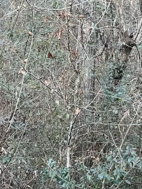 0 Hidden Ridge Loop 28, Dunlap, TN 37327