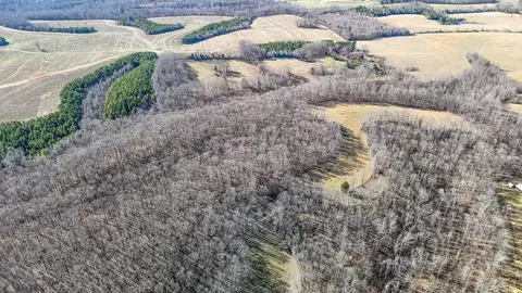 197 State Line Rd, Saint Joseph, TN 38481 photo 9