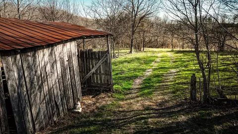 197 State Line Rd, Saint Joseph, TN 38481 photo 6