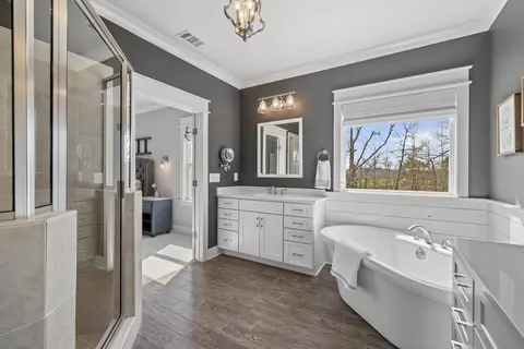 Bath - 4095 Old Light Cir, Arrington, TN 37014 photo 4 of 6