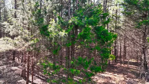 0 Bishop Rd, Middleton, TN 38052