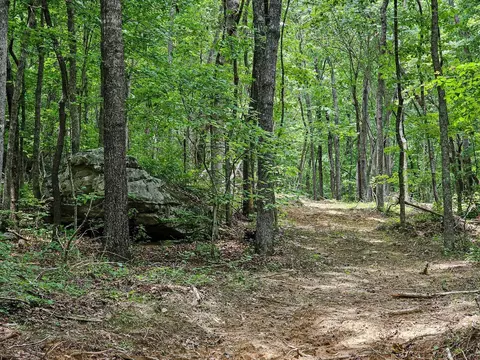 0 Hwy 157, Menlo, GA 30731