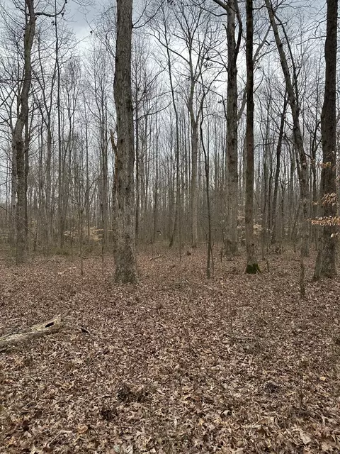 0 Five Points Rd, Leoma, TN 38468 photo 9