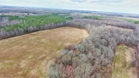 0 Five Points Rd, Leoma, TN 38468 photo 3
