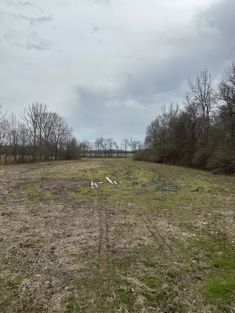 0 Five Points Rd, Leoma, TN 38468 photo 4