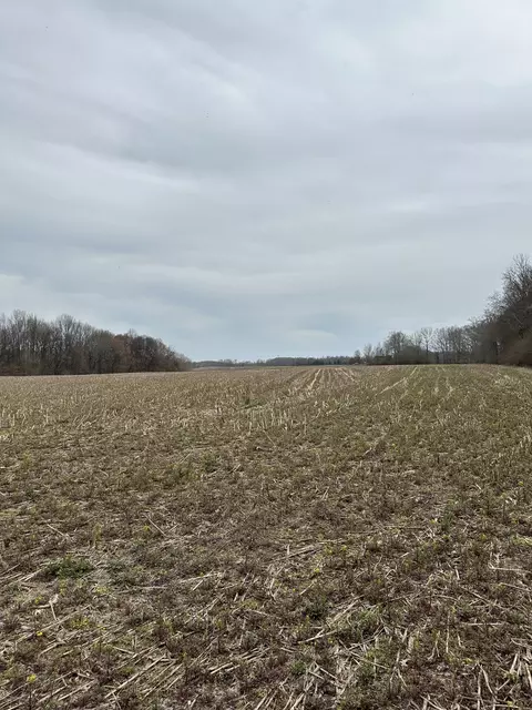 0 Five Points Rd, Leoma, TN 38468 photo 7