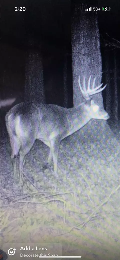 0 Five Points Rd, Leoma, TN 38468 photo 12