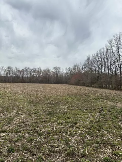 0 Five Points Rd, Leoma, TN 38468 photo 5