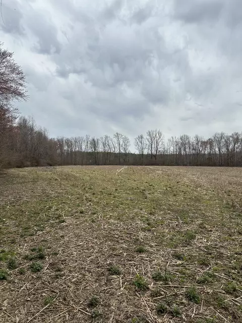 0 Five Points Rd, Leoma, TN 38468 photo 6
