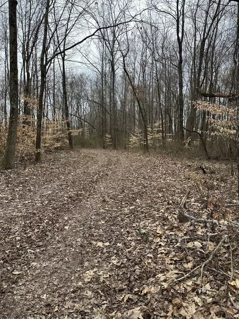 0 Five Points Rd, Leoma, TN 38468 photo 8