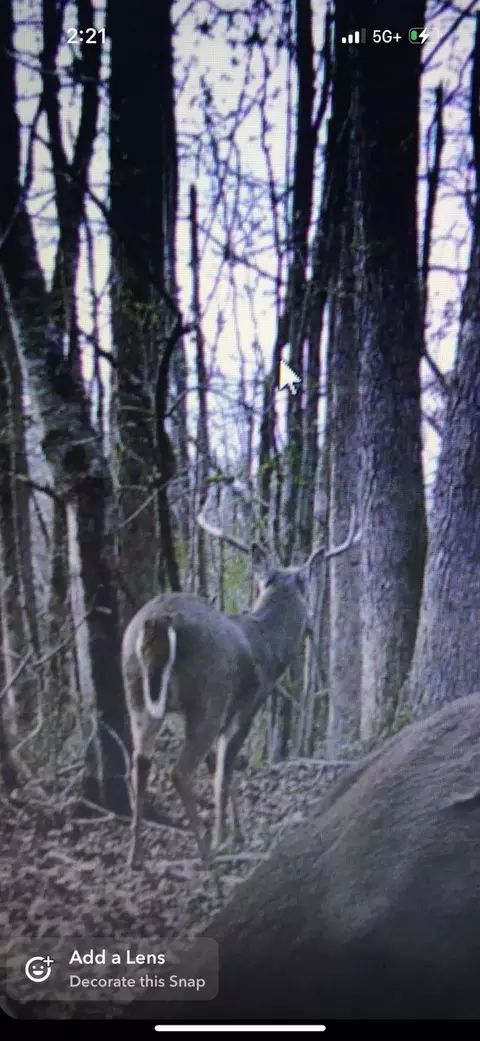 0 Five Points Rd, Leoma, TN 38468 photo 13