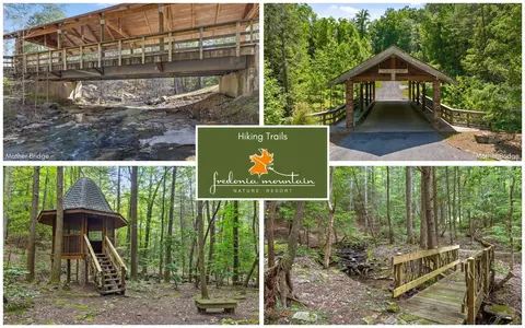 237 Roaring Creek Rd, Dunlap, TN 37327 photo 17