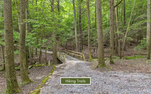 237 Roaring Creek Rd, Dunlap, TN 37327 photo 18