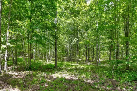 237 Roaring Creek Rd, Dunlap, TN 37327 photo 11