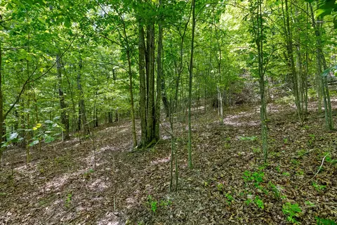 237 Roaring Creek Rd, Dunlap, TN 37327 photo 12