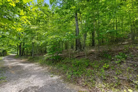 237 Roaring Creek Rd, Dunlap, TN 37327 photo 10