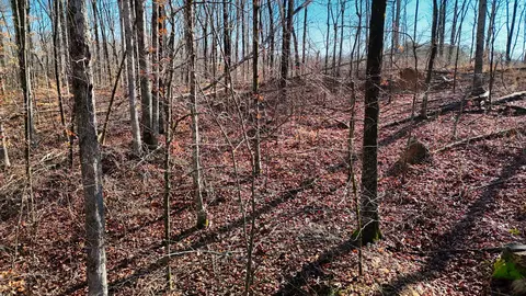 0 Ridge Ln S, Lawrenceburg, TN 38464