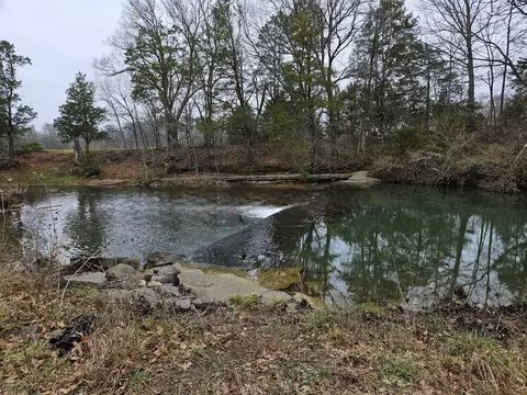 0 Don Bruce Ct, Christiana, TN 37037