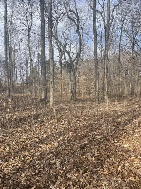 0 Dobbins Pike, Portland, TN 37148
