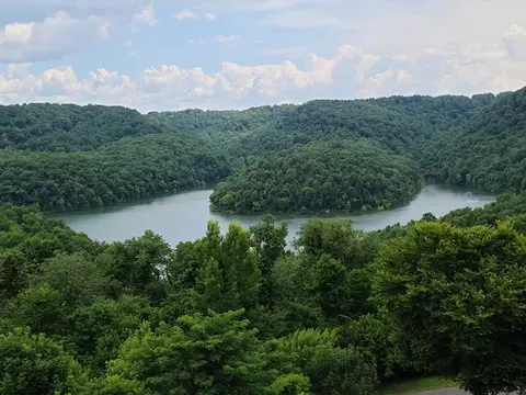 47 Nadia Ln, Smithville, TN 37166