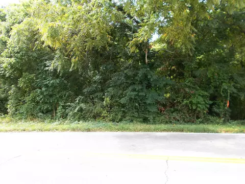 0 W Walnut St, Dickson, TN 37055 photo 5