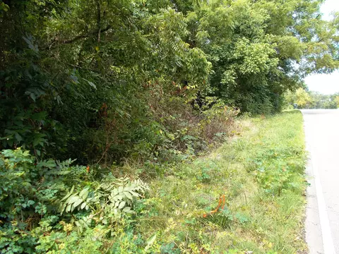 0 W Walnut St, Dickson, TN 37055 photo 4