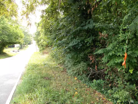 0 W Walnut St, Dickson, TN 37055 photo 2