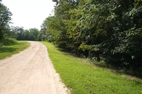 166 Skyline Ridge Rd, Dover, TN 37058 photo 2