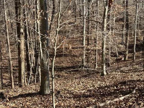 1 Ghea Rd, Normandy, TN 37360 photo 5