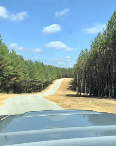 0 Brown Rd, Hohenwald, TN 38462