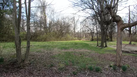 109 23rd Ave E, Springfield, TN 37172 photo 2
