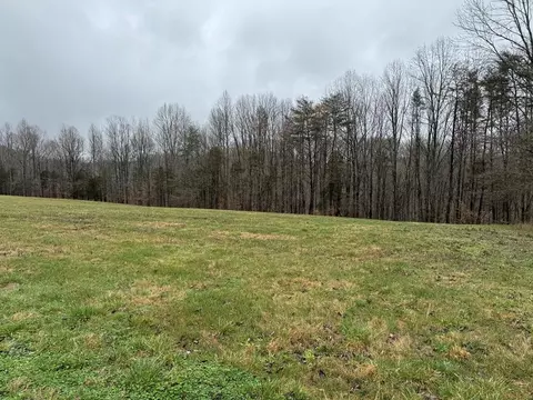 13 Ralph Spivey Ln, Gainesboro, TN 38562