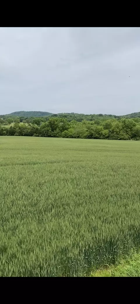 1445 Lauderdale Ln, Bethpage, TN 37022