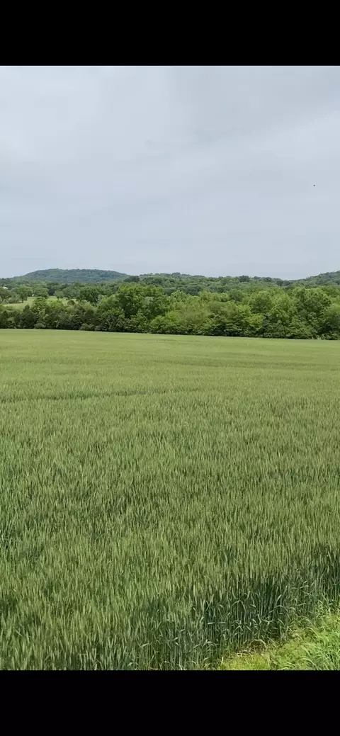 1437 Lauderdale Ln, Bethpage, TN 37022