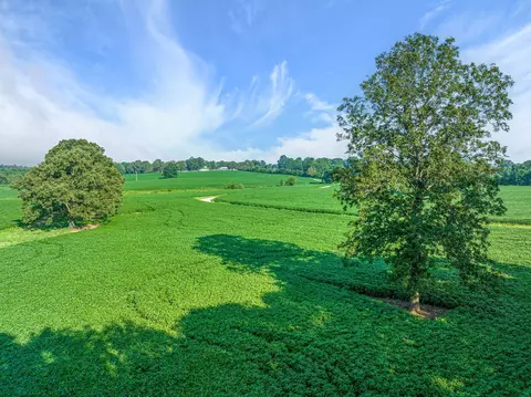 2385 Sylvia Rd, Dickson, TN 37055 photo 9