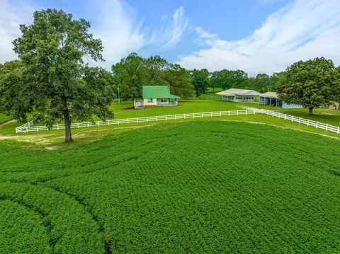 2385 Sylvia Rd, Dickson, TN 37055 photo 29