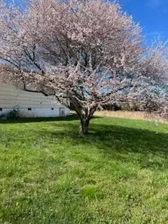 71 Bassham Rd, Five Points, TN 38457 photo 4
