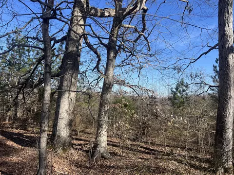 0 Blooming Grove Rd, Five Points, TN 38457
