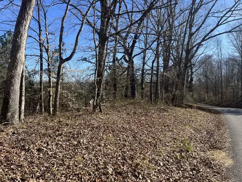 0 Blooming Grove Rd, Five Points, TN 38457 photo 3