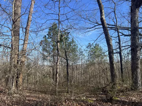 0 Blooming Grove Rd, Five Points, TN 38457 photo 8