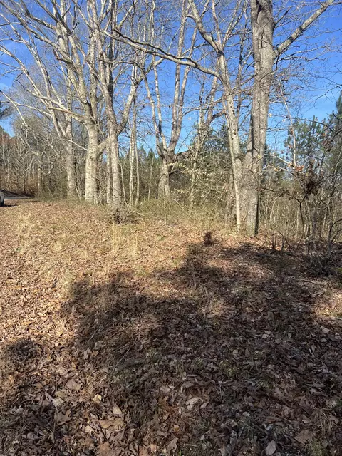 0 Blooming Grove Rd, Five Points, TN 38457 photo 9