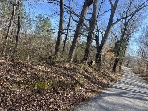 0 Blooming Grove Rd, Five Points, TN 38457 photo 2