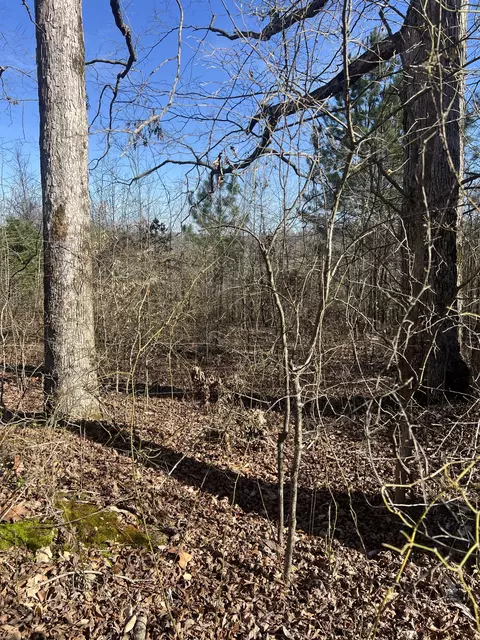 0 Blooming Grove Rd, Five Points, TN 38457 photo 7
