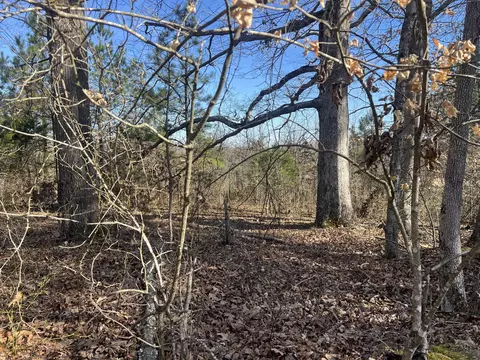 0 Blooming Grove Rd, Five Points, TN 38457 photo 4